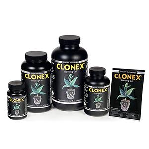 Clonex Propagation
