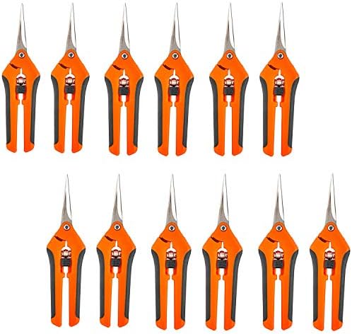 Giros Orange Curved Pruning Scissors (12-PACK)