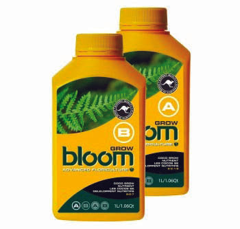 bloom grow b 1 liter