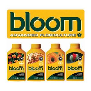 Bloom Yellow Bottles
