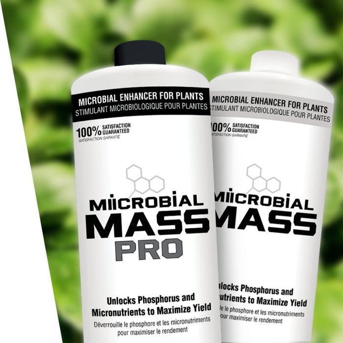 MIICROBIAL MASS PRO (MIIM)