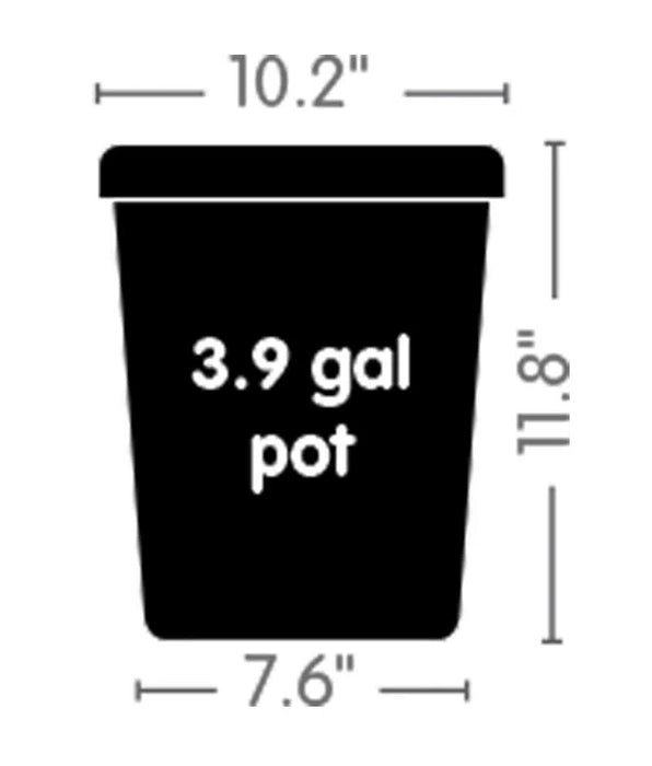 3.9 Gallon Pot