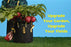 BudTrainer BudPots® 5 Gallon(4-Pack)