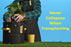 BudTrainer BudPots® 5 Gallon(4-Pack)