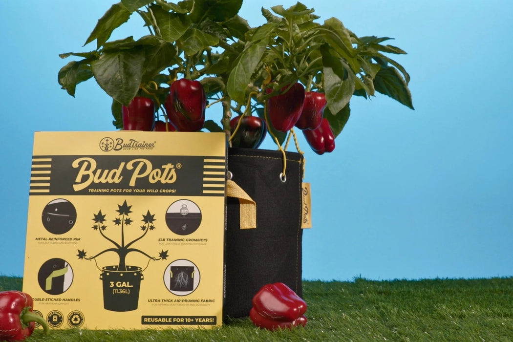 BudTrainer BudPots® 5 Gallon(4-Pack)