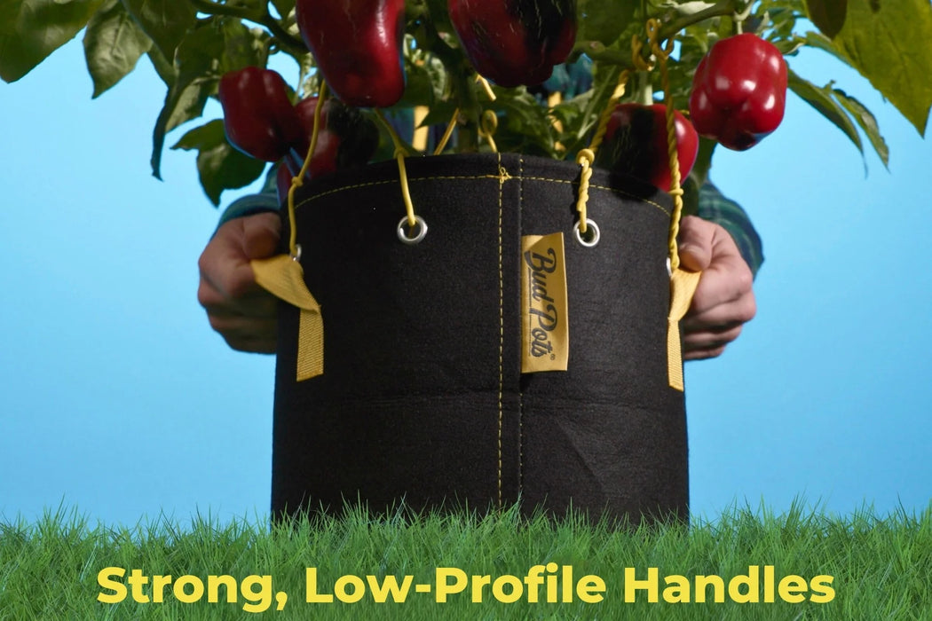 BudTrainer BudPots® 5 Gallon(4-Pack)