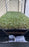 AutoPot Tray2Grow Microgreens Kit