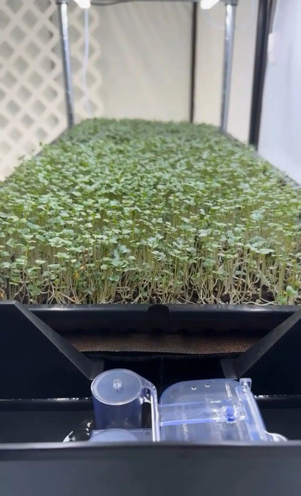 AutoPot Tray2Grow Microgreens Kit