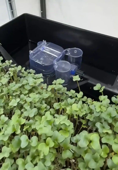 AutoPot Tray2Grow Microgreens Kit
