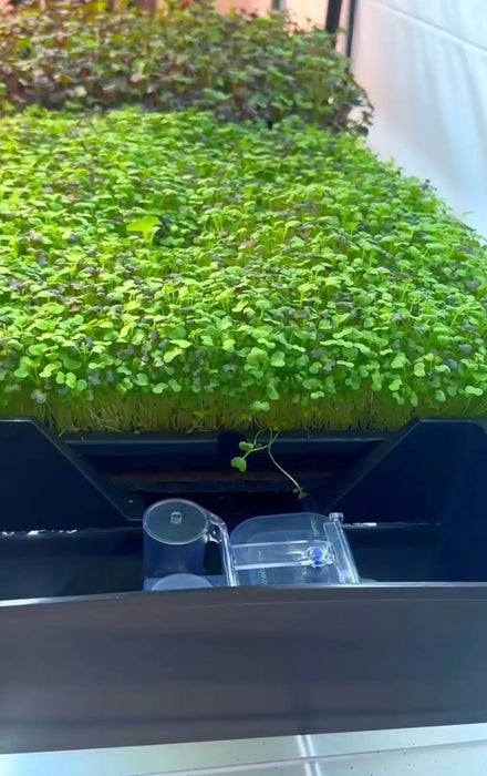 AutoPot Tray2Grow Microgreens Kit