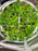 Plant Trainer (2 Pack) with Scroggers (2 Pack) - Collapsible Plant Support System