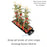 AutoPot Tray2Grow Automatic Watering Systems