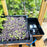 AutoPot Tray2Grow Microgreens Kit
