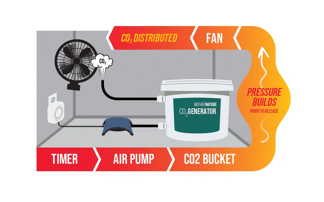 Mother Nature CO2 Generator 10 Liter Kit with Single Outlet Air Pump