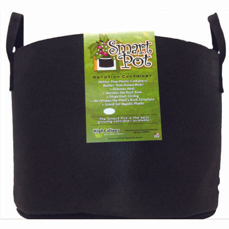 Smart Pot 15 gallon with handles