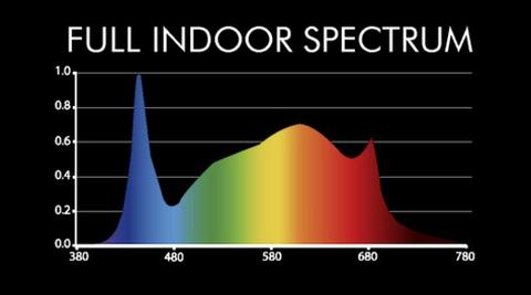 ILUMINAR LED - iL5x 440W & iL5xc 300W chart