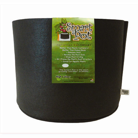 5 gallon pot plants Smart Pot 5 Gallon