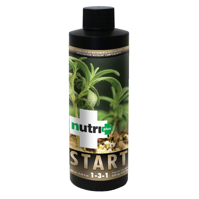 Nutri Plus Start - Root Development