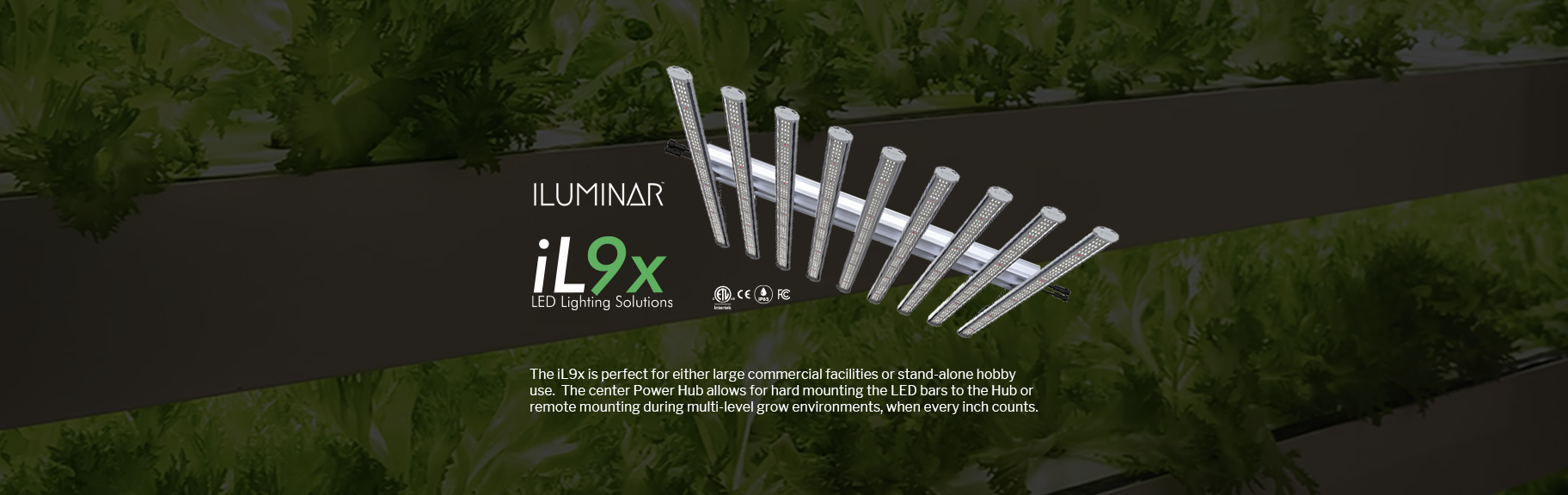 ILUMINAR LED - iL9x 2.6 1000W 120-277V