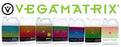 vegamatrix amp it