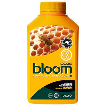 Bloom Ooze Yellow Bottles
