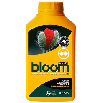 Bloom Phat Yellow Bottles