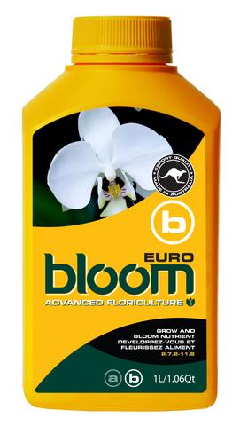 Bloom Euro B Yellow Bottles