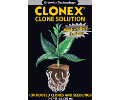 Clonex Clone Solution