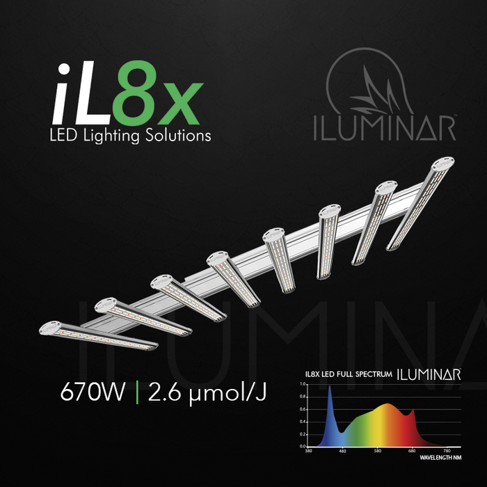 ILUMINAR LED - iL8x 2.6 670W 120-277V