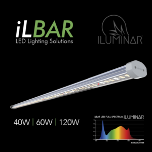 ILUMINAR LED – iL Bar Series Single-Rail LED