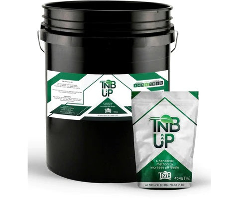 TNB Naturals Granular pH Up