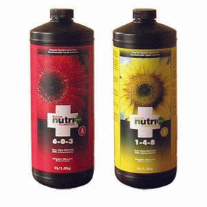 Nutri-Plus Bloom 1 L