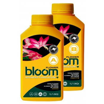 bloom flower a 1 liter