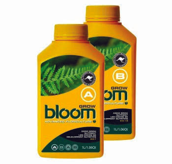 bloom grow a 1 liter