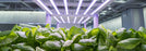 Futur Vert FloraMax FM4 LED 320W 120V/277V - SALE