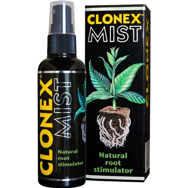 clonex mist 100 ml