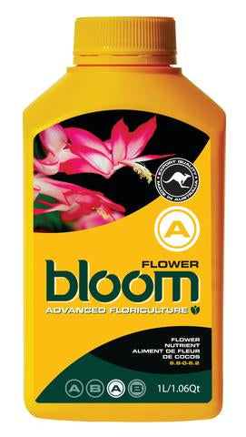 Bloom Flower A Yellow Bottles