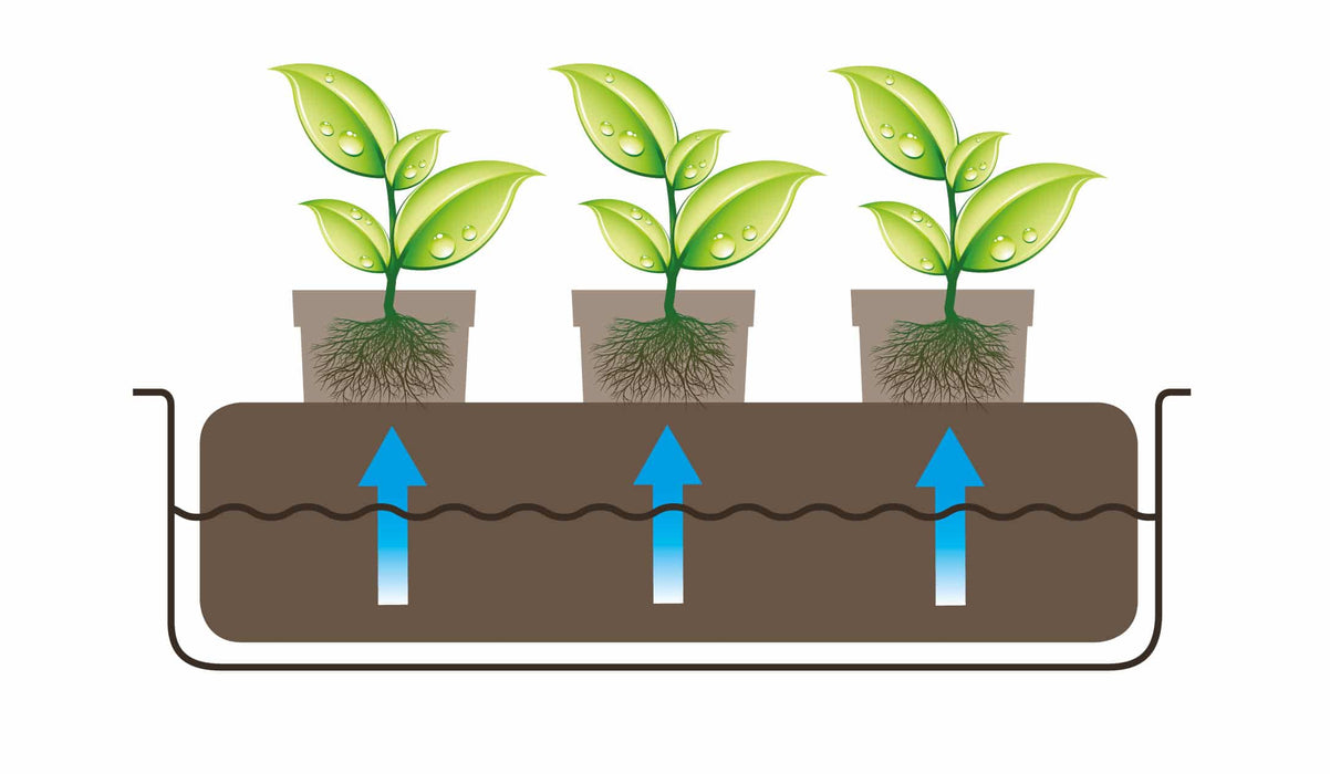 autopot coco mat