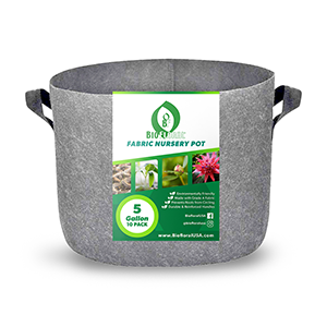 Biofloral Budget Gray Fabric Pots (10 Packs)