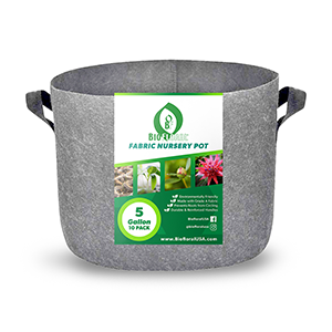 Biofloral Budget Gray Fabric Pots