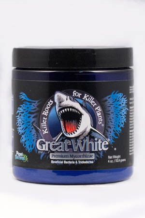 Great White Mycorrhizal Inoculant