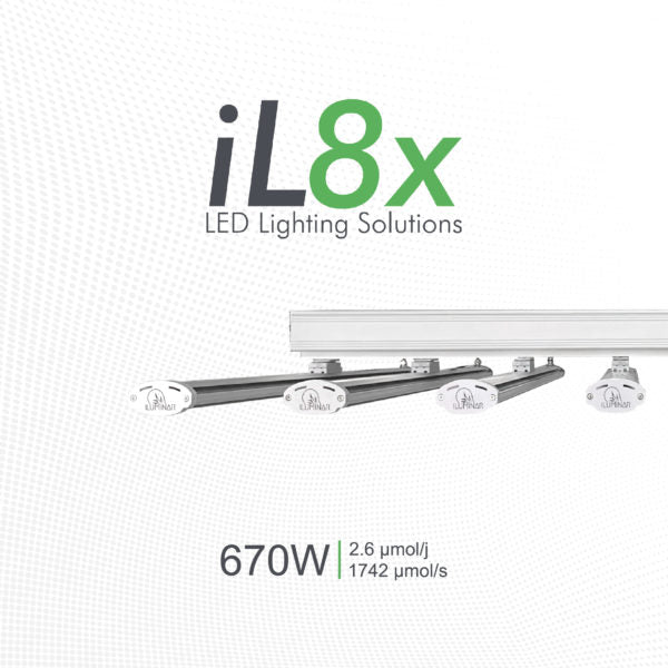 ILUMINAR LED - iL8x 2.6 670W 120-277V