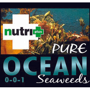 Nutri Plus Pure Ocean Seaweed